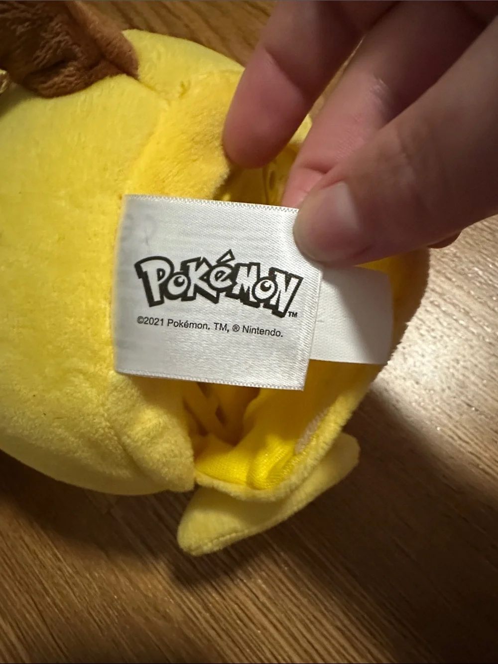 POKÉMON Electric Charge 13